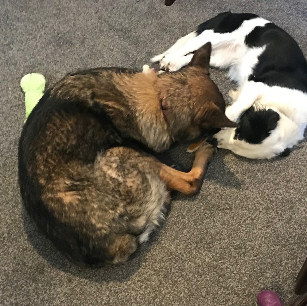 Meet your Posher, Jamie